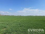 Prodej pozemku, 7 494 m, Ledce (okr. Hradec Králové), cena 412170 CZK / objekt, nabízí 