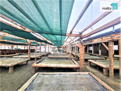 Pronájem, Ostatní pozemky, Libenice, cena cena v RK, nabízí 