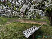 Prodej stavebního pozemku 2980 m2, Bílé Poličany, okres Trutnov, cena 3360000 CZK / objekt, nabízí 