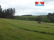 Prodej lesa, 26000 m2, Vysoká Srbská, okres Náchod, cena 734000 CZK / objekt, nabízí 