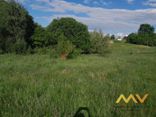 Prodej travnatého pozemku 5858 m2, Dvůr Králové nad Labem - Sylvárov., cena 190 CZK / m2, nabízí