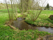 Prodej, Louka, pastvina, Kvasiny, cena 995000 CZK / objekt, nabízí 